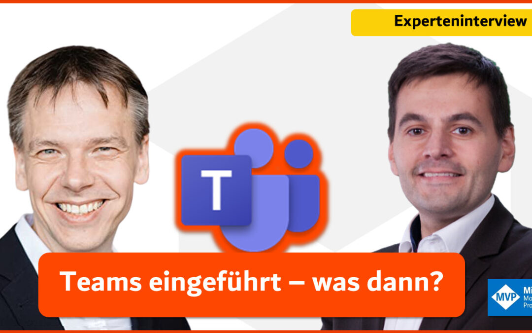 Experteninterview mit Markus Widl: Teams eingeführt – was dann?