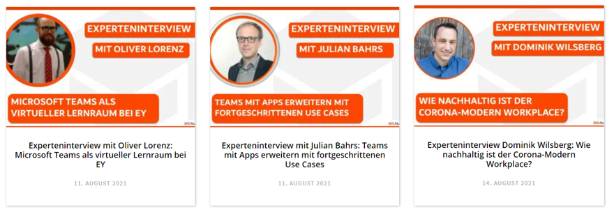 Experteninterviews August