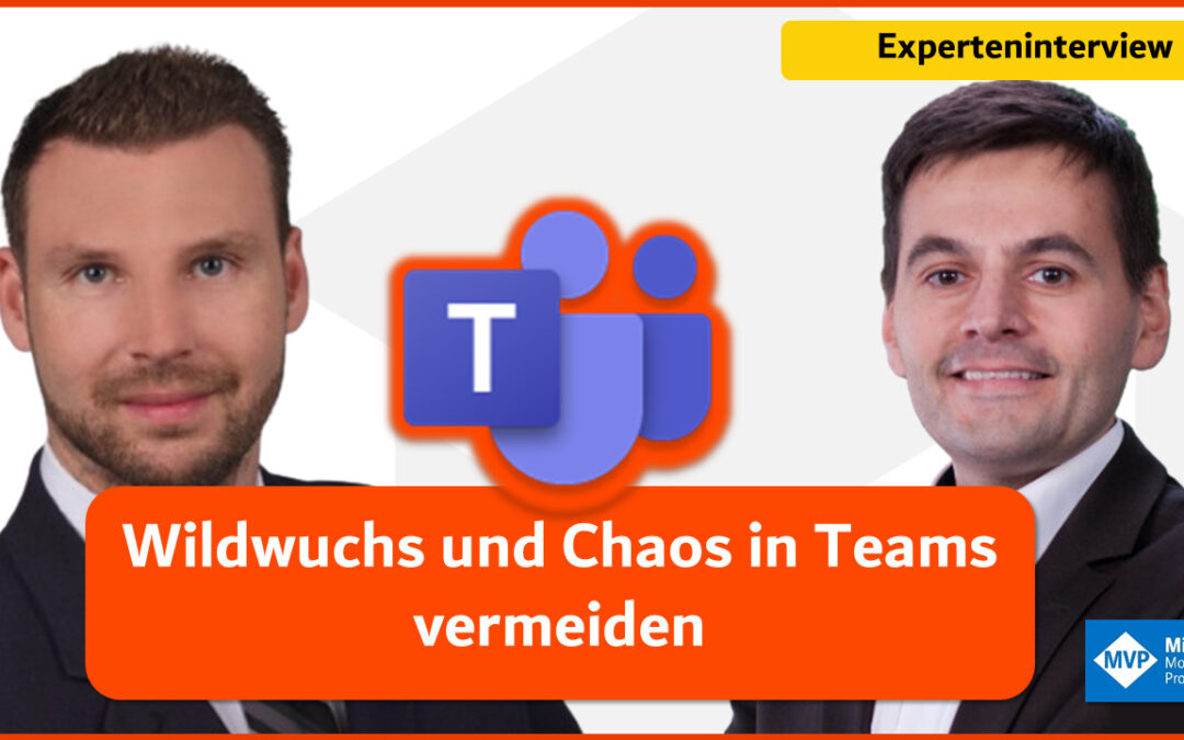 Experteninterview mit Benjamin Stierle: Wildwuchs und Chaos in Teams vermeiden