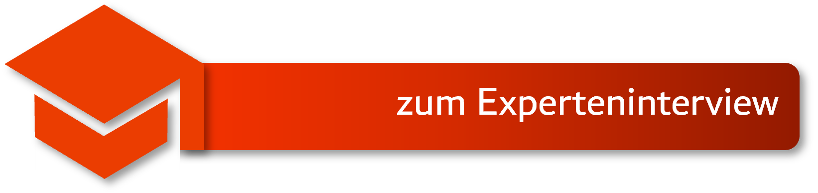 Button zum Experteninterview