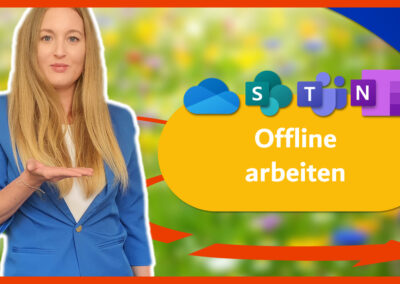 Offline Arbeiten