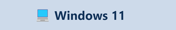 Adoption Nugget Windows 11
